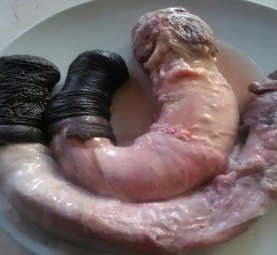 赛卡伊新鲜驴鞭1000克驴三件驴肉小毛驴整套驴鞭带宝精修无油发货