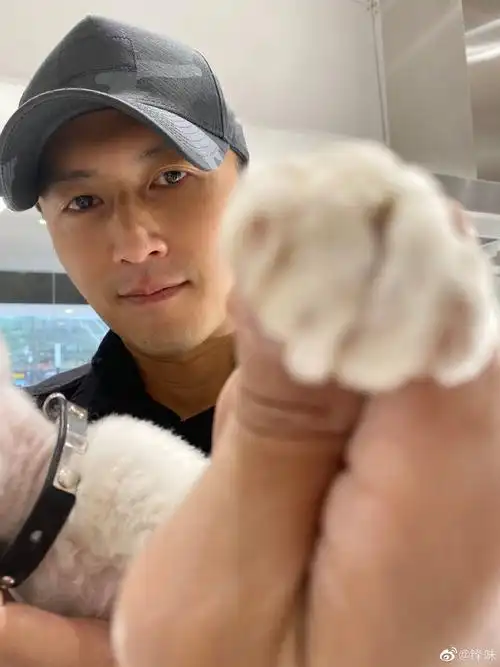 谢霆锋化身猫奴抱爱宠上班画面温馨戴鸭舌帽五官硬朗超帅气