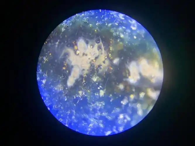 明宣德款段氏祠堂铭青花龙凤纹天球瓶 附微观图