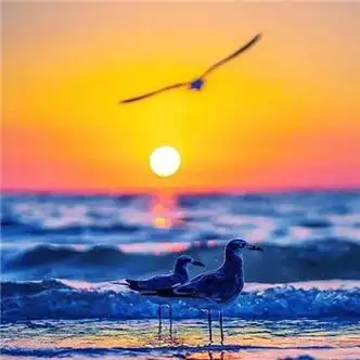 能走好运的微信头像(精选20张) - 爱说说