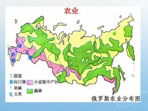 高中区域地理俄罗斯ppt