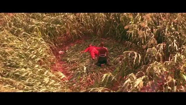 不羁生命的礼赞:经典电影《红高粱》