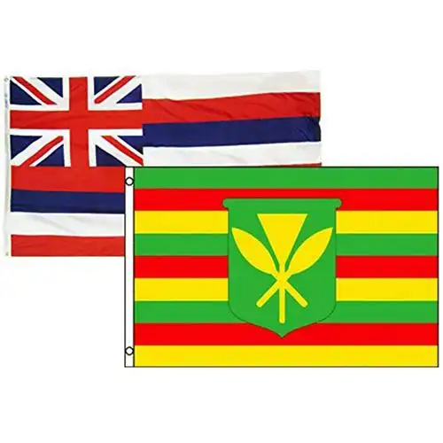 美国各州国旗 夏威夷州旗 90x150cm hawaii state