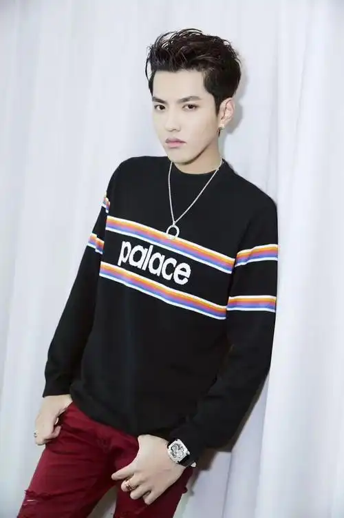 吴亦凡判了13年!吴亦凡事件最全时间线整理!