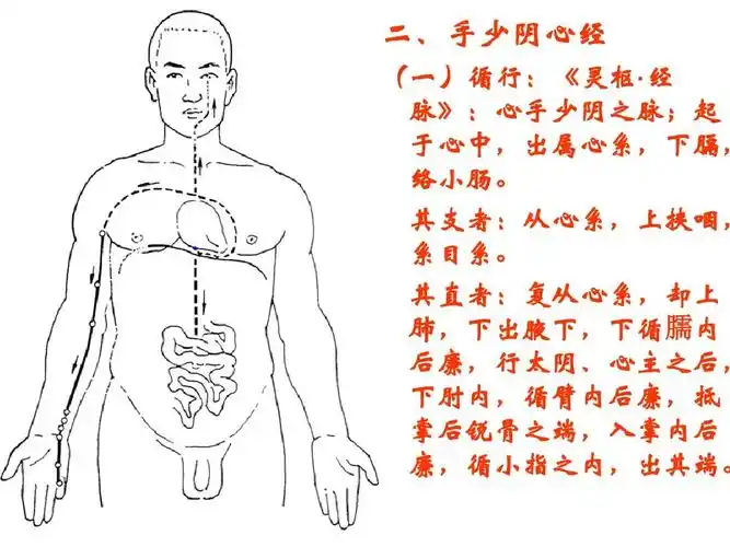 手少阴心经课件ppt