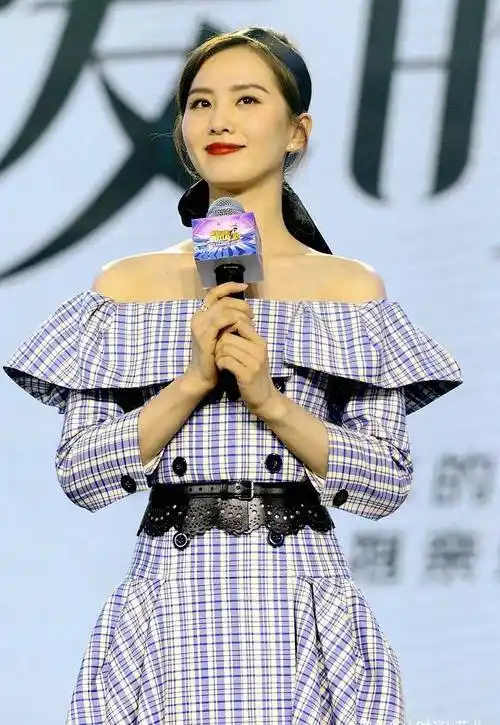 刘诗诗出席活动穿一字肩格子裙秀天鹅颈气质优雅女神范