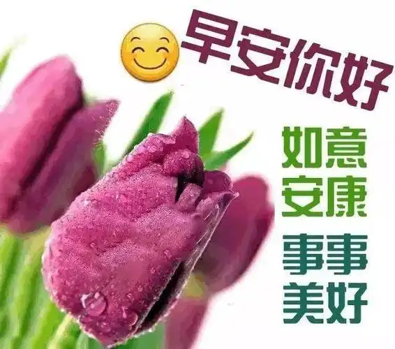 中老年早安表情包