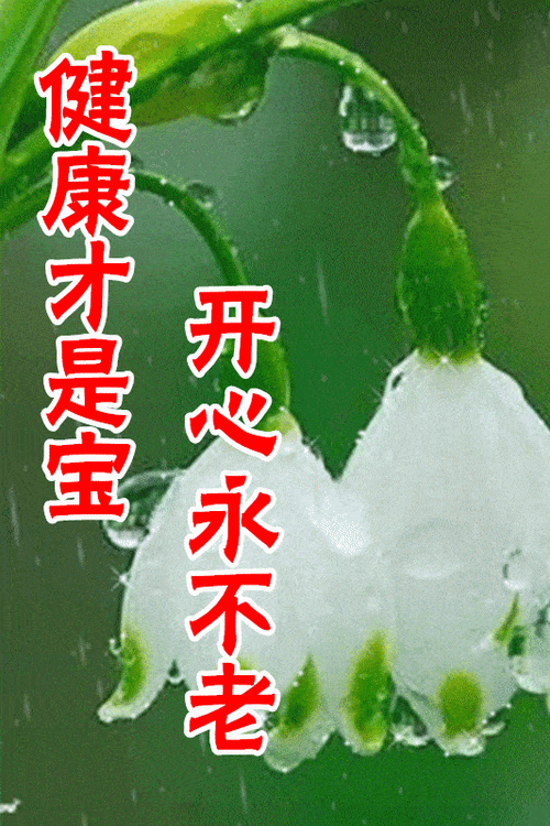 2月2日最漂亮早上好动态表情图片大全早晨好动图美图大全