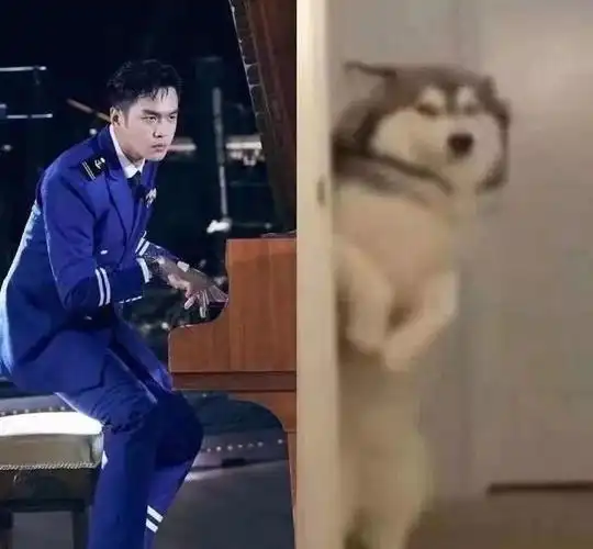 最初也有不少原著粉不满,吐槽张若昀是"撞脸哈士奇"的奇男子,实在称不