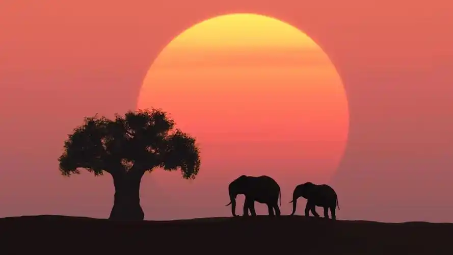 2023年抖音最火背景图片