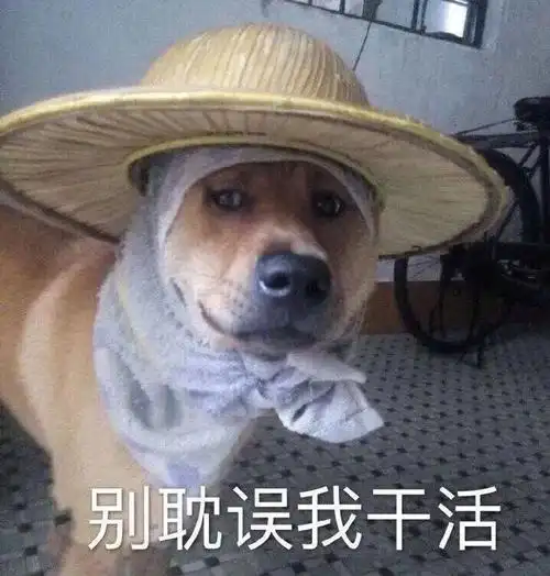 搞笑聊天表情包