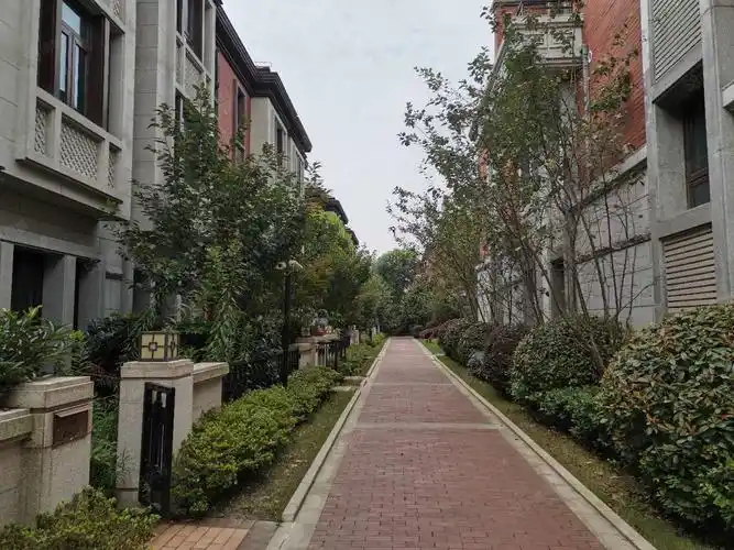 【14图】降价80万急售,美兰湖独栋别墅 ,商住通燃气,精装修送大花园