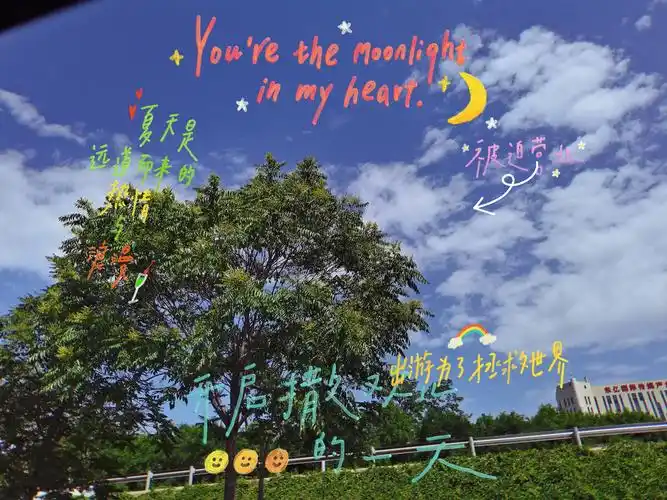 这几张图片莫名的让人心情好心情好世界都是那么的可爱78