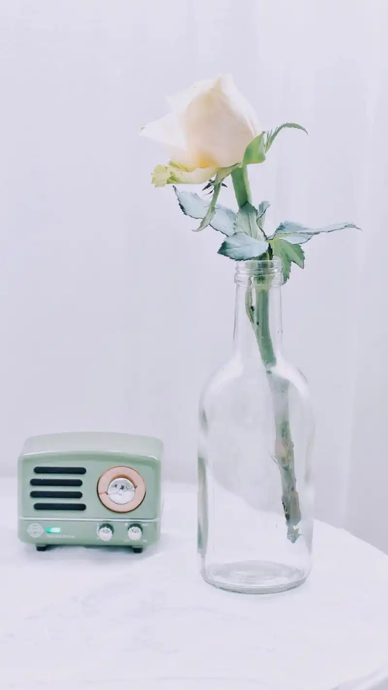 简约,植物,高清,清新,静物,治愈系,手机壁纸,1080x1920植物:小清新