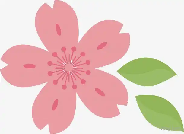 卡通粉色桃花png素材透明免抠图片-动植人物