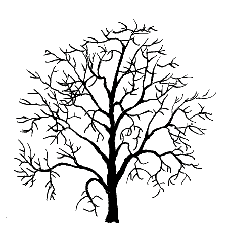 树干上的条纹简笔画