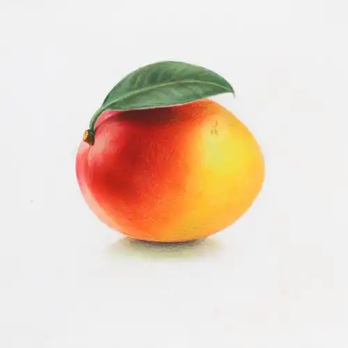 彩铅教程教你如何画一个超写实的芒果