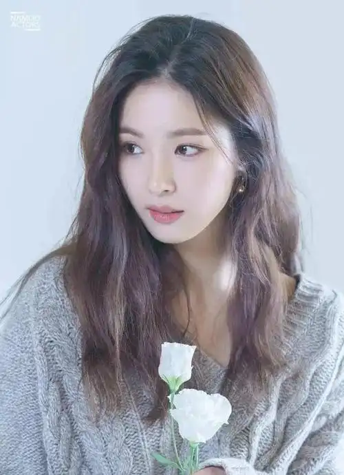 2024年韩国美女10位女星出炉宋慧乔冲进前3名