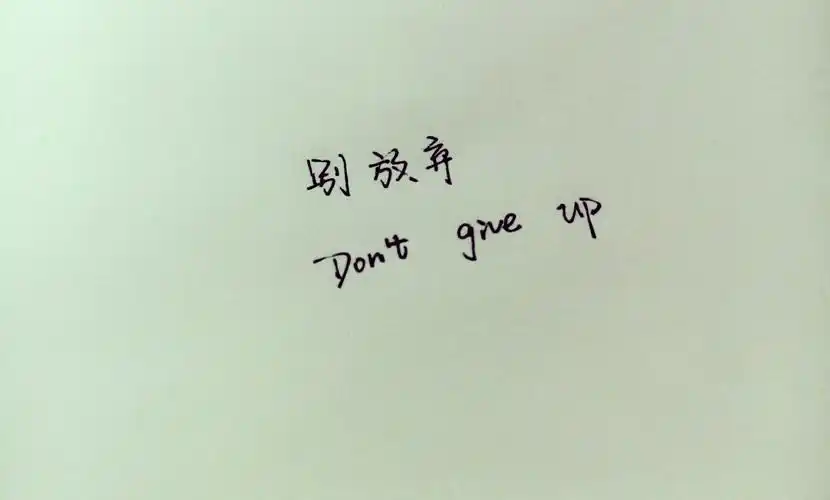 别放弃 - 堆糖,美图壁纸兴趣社区
