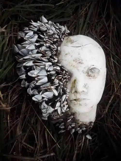 谁说灵异视频才吓人这组图片同样恐怖