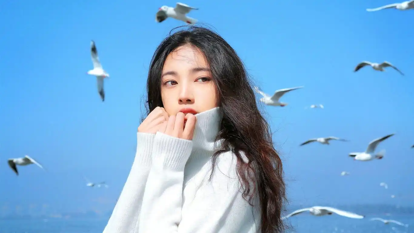 美女与海鸥清新唯美写真桌面壁纸