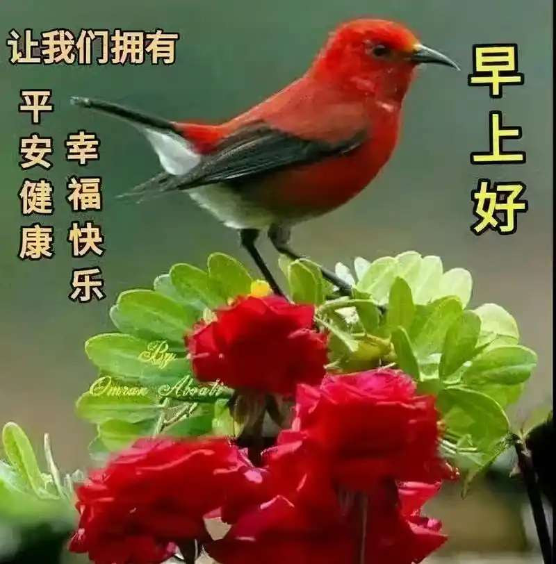 群发清晨早上好问候祝福动态表情图片