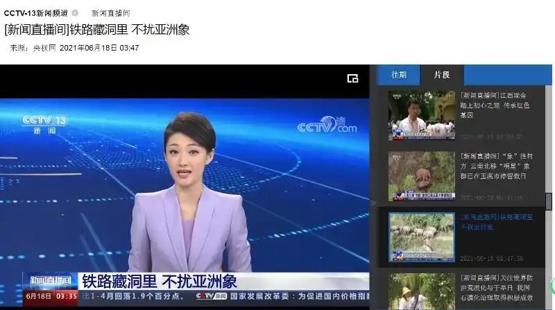 [新闻直播间]铁路藏洞里 不扰亚洲象【cctv13 新闻直播间2021年06月18