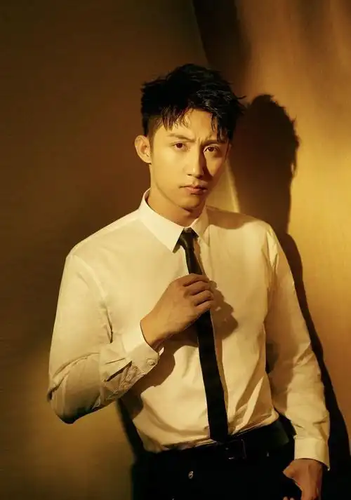 硬汉小生黄景瑜的成名之路没你想的那么简单