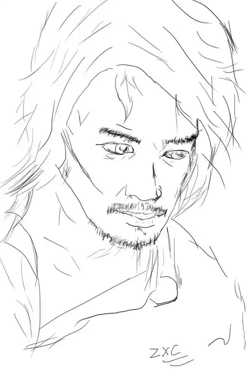 这张也是临摹的,在ps中用手绘板先将外轮廓画好,再用画笔工具和套索