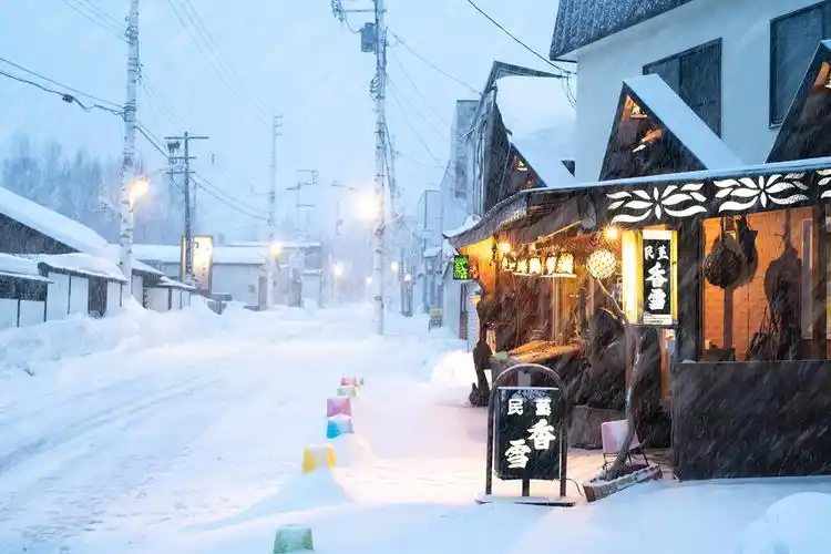 冬の北海道,雪中瞬息的浪漫---北海道之旅雪景