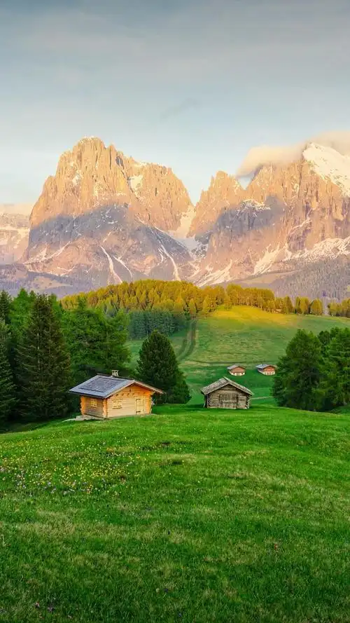 有没有很阳光清新绿色自然让人心情好的风景壁纸