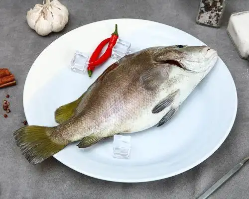 春播冰鲜水产包公鱼650750g