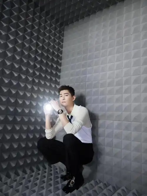 明星张翰的出场费是多少