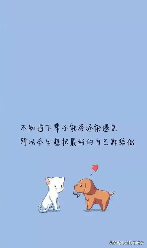 感悟人生哲理的20句经典句子,句句让人感悟深刻