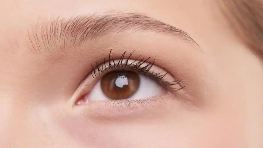 美女的眼睛唯美