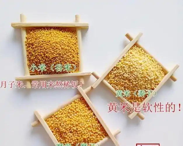 小米黄米别再错了营养口感做法大不同不懂别乱买