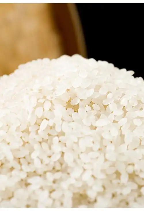 圆粒珍珠大米 22年秋季新米5kg10斤 东北现磨粳米 黑龙江珍珠米5kg