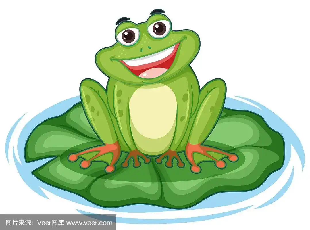 可爱的绿色青蛙在荷叶上