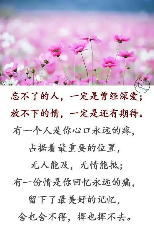 舍也舍不得,挥也挥不去爱只要一瞬间,忘