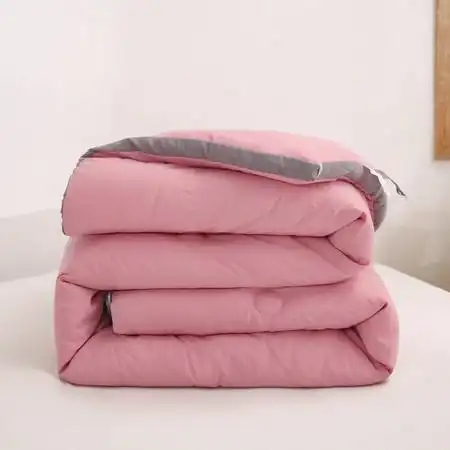 2022新款水洗棉立体绗缝冬被 简约纯色双拼加厚被芯 家用被子空调被图