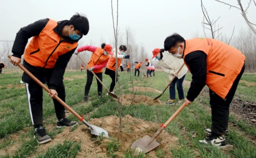原创绿"动"青春,植树造林,建设绿色家园!