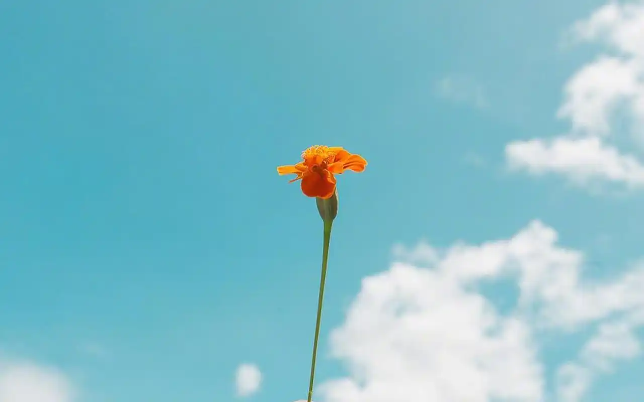 蓝天下的风景图片桌面电脑壁纸-风格壁纸-手机壁纸下载-美桌网