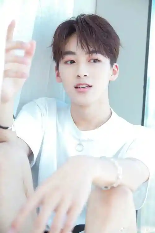 何洛洛是谁 何洛洛个人资料是何炅儿子吗