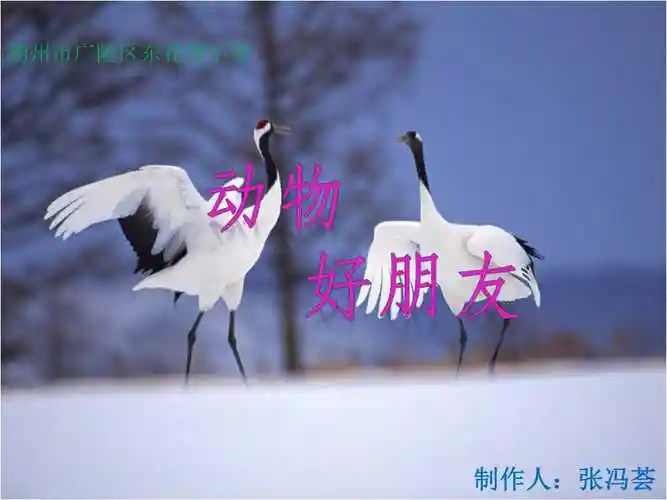 动物好朋友ppt课件ppt