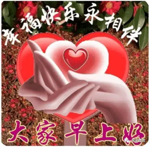 早上好祝福问候真情永远