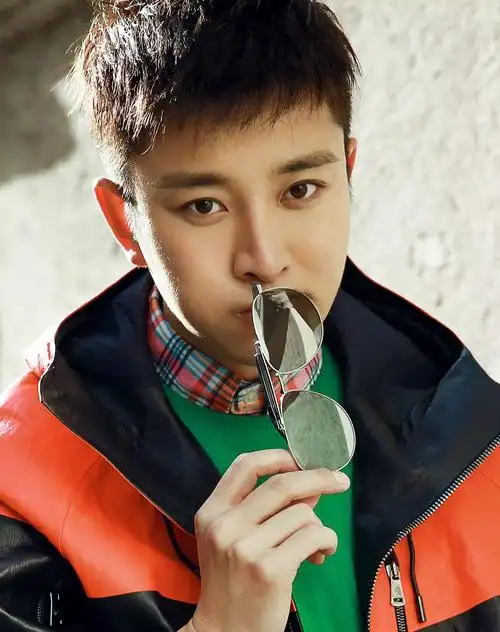 vegoos 【明星同款】贾乃亮同款中性款偏光太阳镜水银色