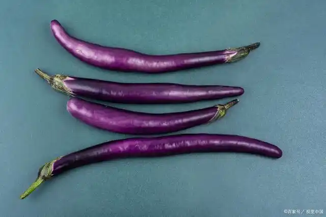 在您的盘子上体验世界 - 所有不同品种的茄子!