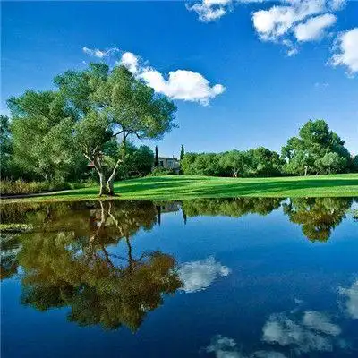 清新好看绿色系很优质的风景头像简单大方的有气质风景头像最新