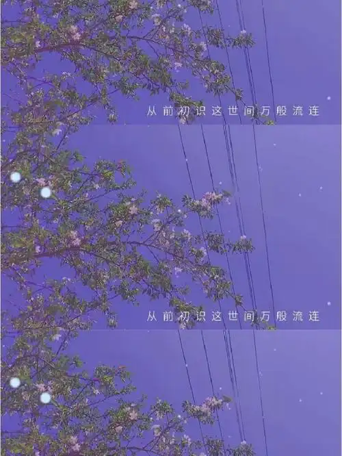 三格背景图愿喜