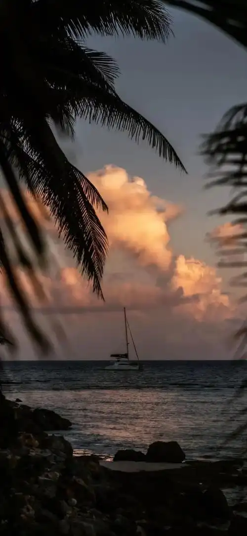 有哪些好看的风景壁纸? - 知乎